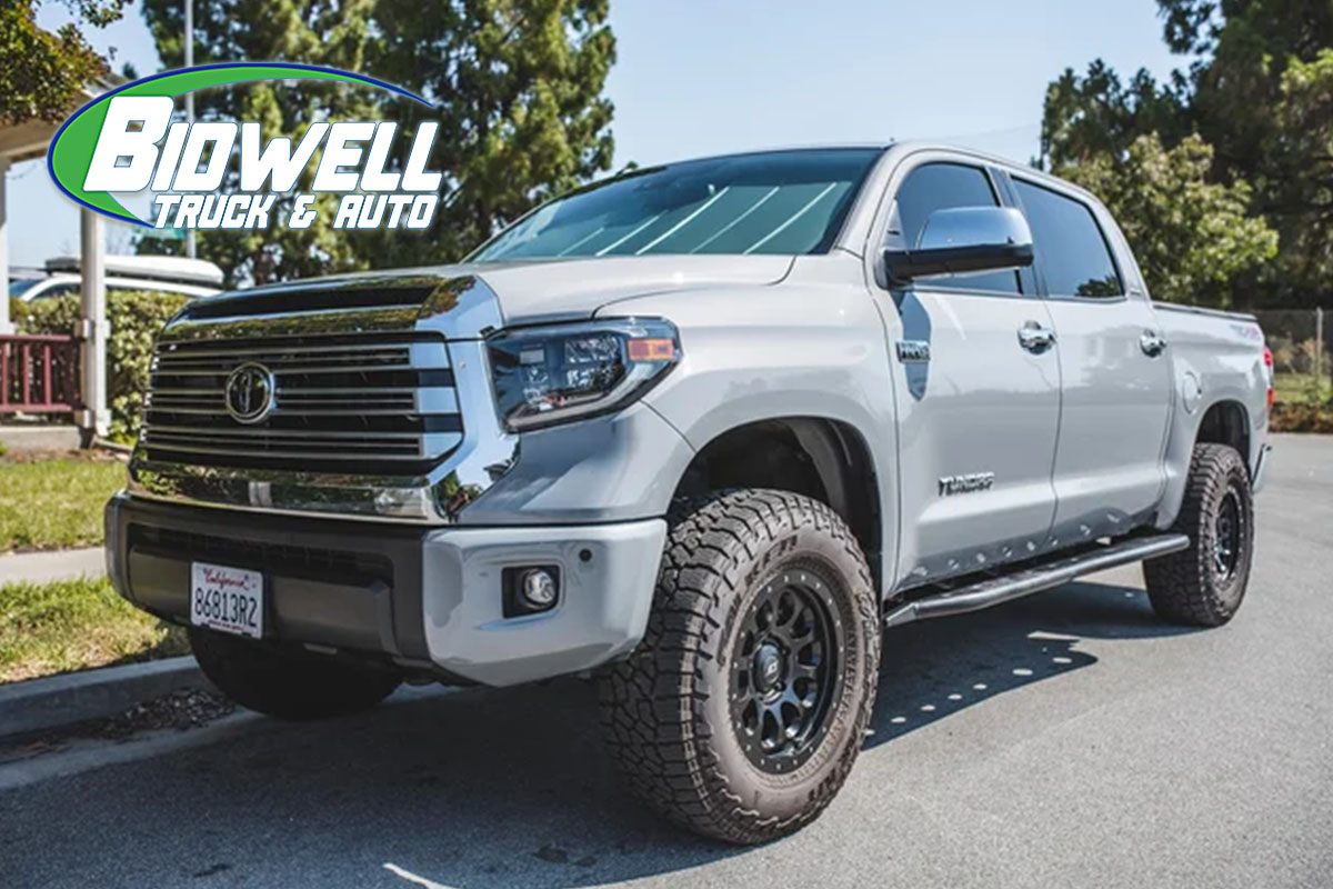 Shellz Bumper Protection